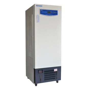 上海躍進(jìn)YWX-250/YWX-300/YWX-500藥品穩(wěn)定試驗箱