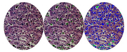 彩譜臺(tái)式分光測(cè)色儀CS-820N
