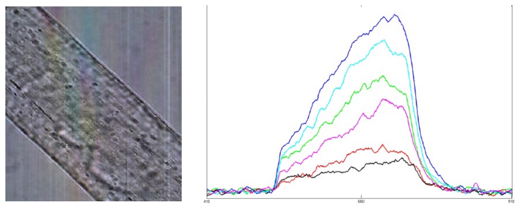 彩譜臺(tái)式分光測(cè)色儀CS-820N原理